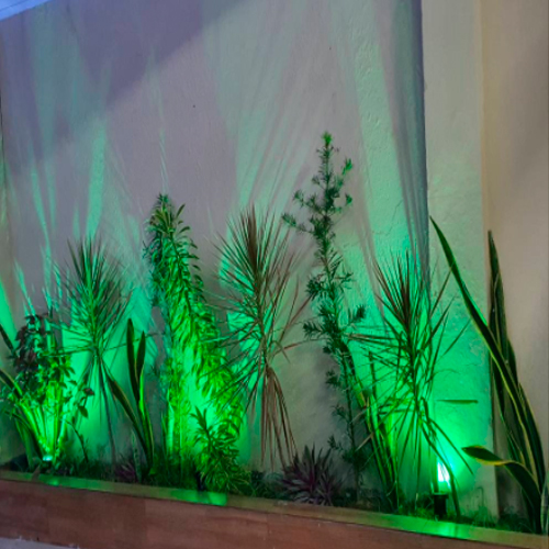 espeto luz cores verde